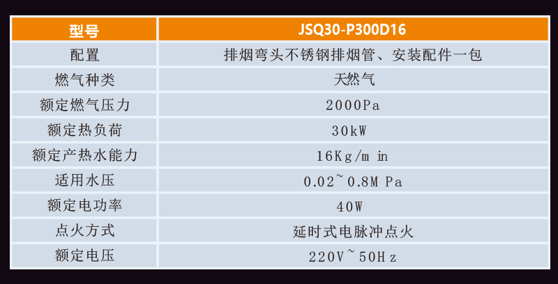 規格燃氣詳情圖P300D16.jpg